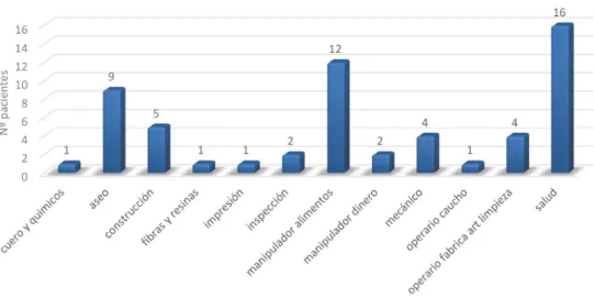 Gráfico 3.  Distribución de pacientes por rubros ocupacionales. 