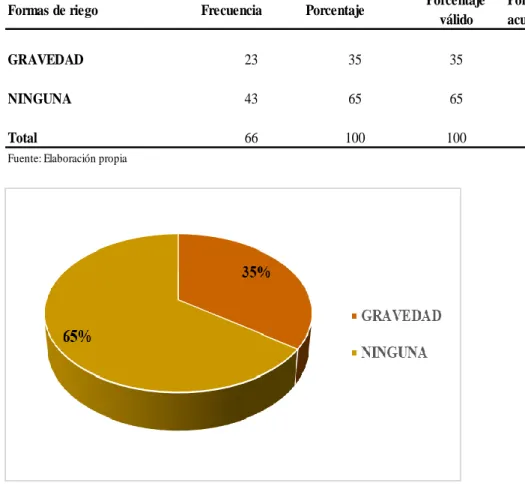 Figura 21  Formas de Riego 