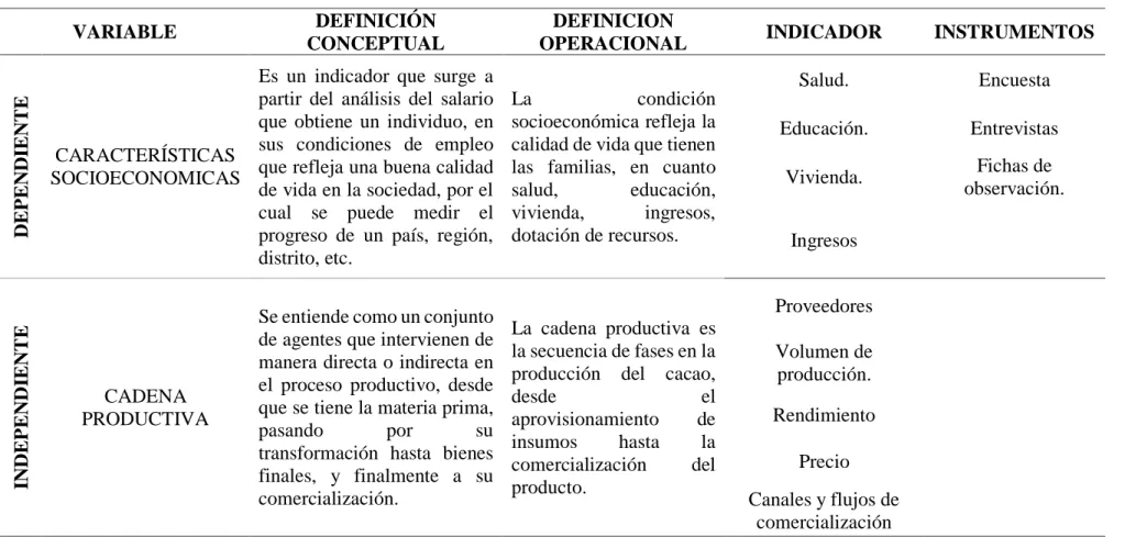 Tabla 2: Operacionalización de Variables 