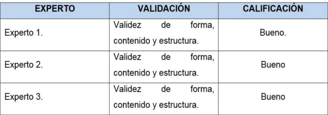 Tabla 2 Validación del instrumento 