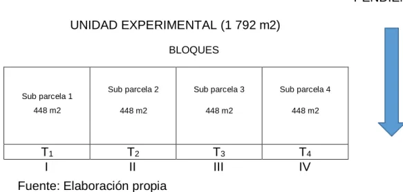 Tabla 3.  Unidad experimental 