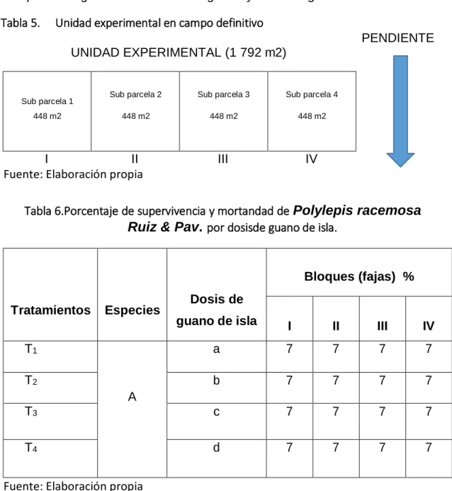 Tabla 5.  Unidad experimental en campo definitivo 