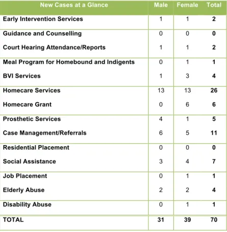 Table 7: Services Provided or the Disabled and Elderly in the VI 