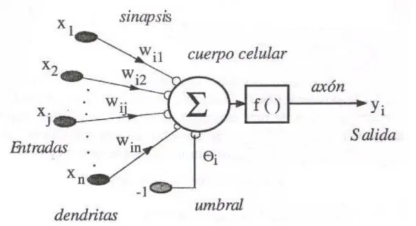 Figura 1.1: Esquema de una red neuronal artificial 