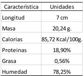 Cuadro 4.4 Características de la Población