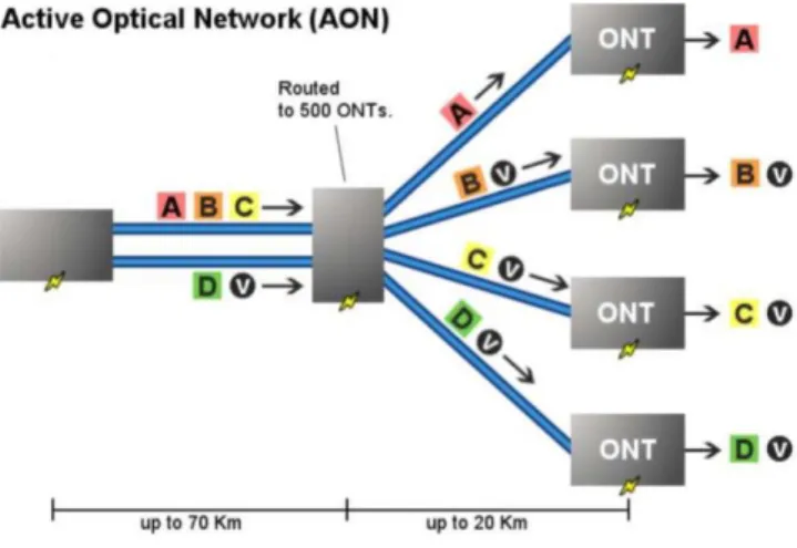 Figura 3. Topología de la AON 