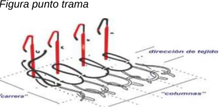 Figura punto trama              