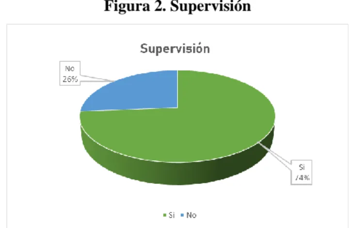 Figura 2. Supervisión 