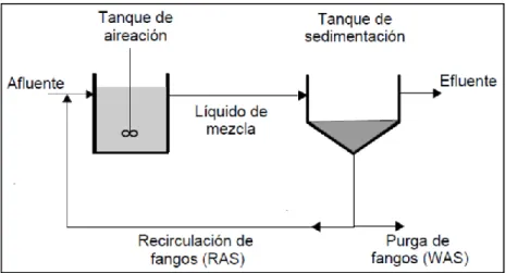 Figura 10. Proceso de lodo activado 