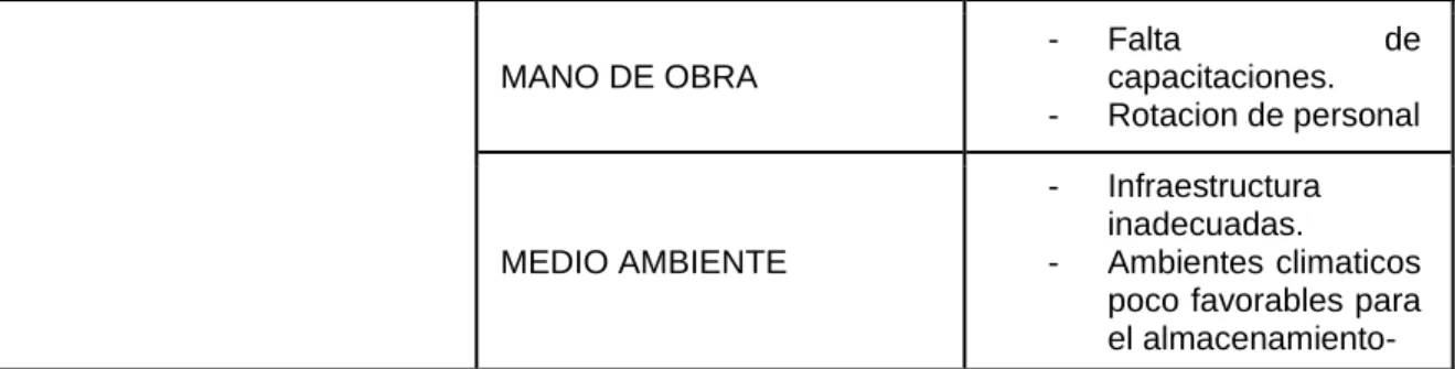 Tabla 8 Análisis de las causas No existe un plan de gestión de calidad 