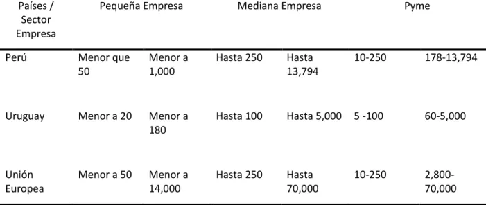 Tabla 3 Perfil para selección de consultora TI del AMSS. 