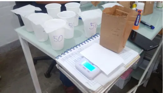 Figura 7: Materiales para preparación de tratamientos 