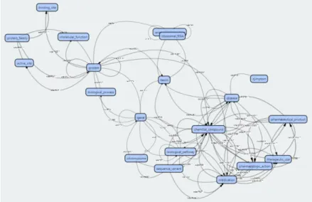 Figura 6. Visualización del esquema de Genewiki en 3DShEx. 