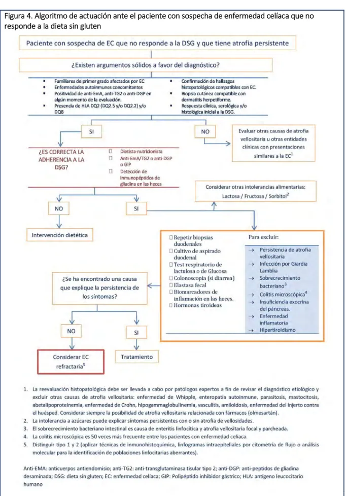 Figura 4. Algoritmo de actuación ante el paciente con sospecha de enfermedad celíaca que no  responde a la dieta sin gluten  