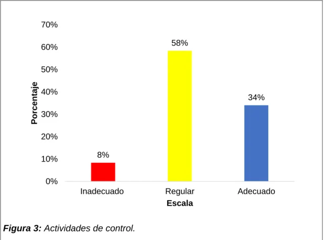 Figura 3: Actividades de control. 