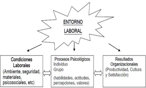 Figura 1.  Interacción del entorno laboral.           
