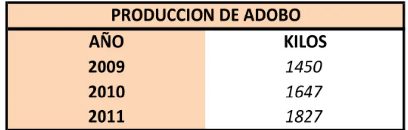 Cuadro 5. Kilos de Adobo producidos por Año 