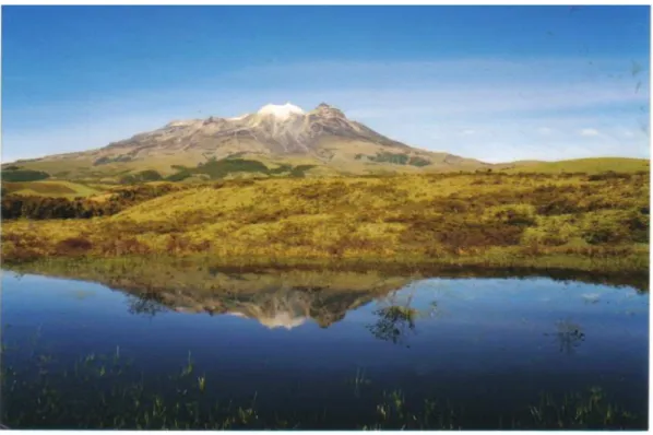 Figura 2. NEVADO DE CUMBAL: 