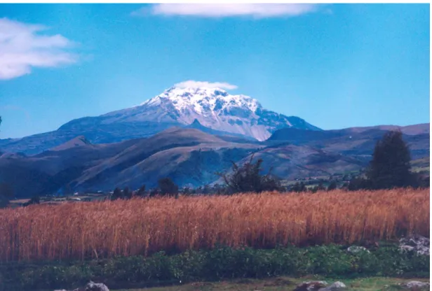 Figura 3. VOLCÁN NEVADO DE CHILES 