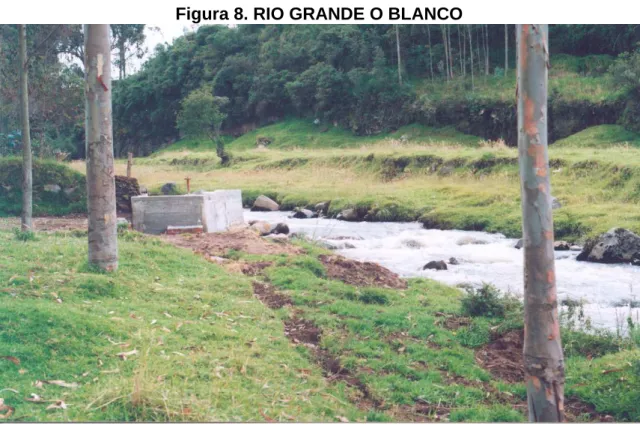 Figura 8. RIO GRANDE O BLANCO 