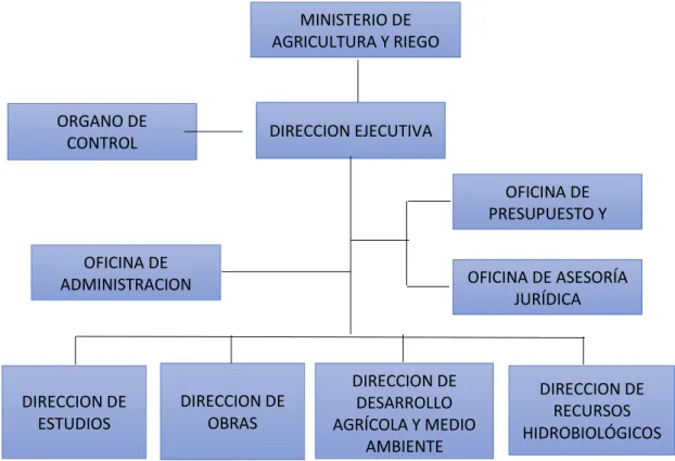 Figura 11 Estructura Orgánica P.E.B.L.T. 