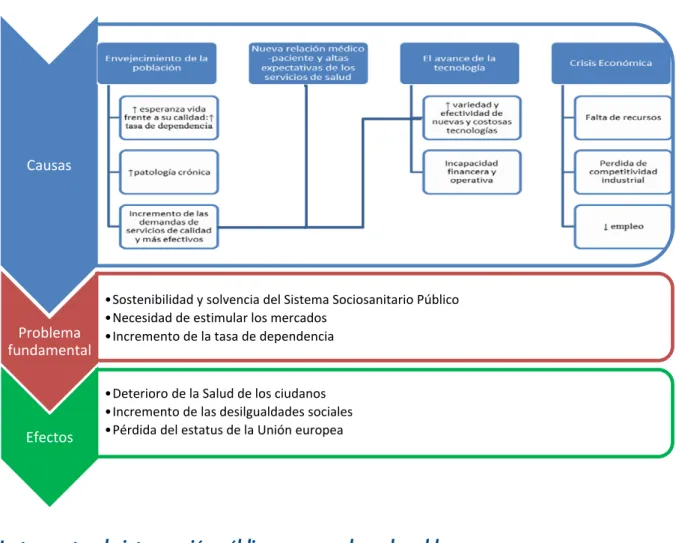 Figura 9: Causas y problemas fundamentales que justifican el programa