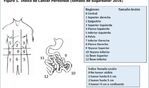 Tabla 1.  Completeness of Cytoreduction Score (CCS)