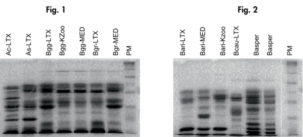 Fig.  1                     Fig.  2