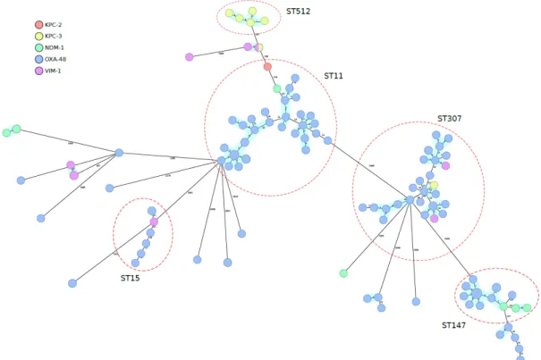 Figura 1. Minimun spanning tree que representa la estructura poblacional 131 cepas de K