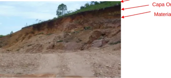 Figura 6 Espesores del suelo en el área de explotación 