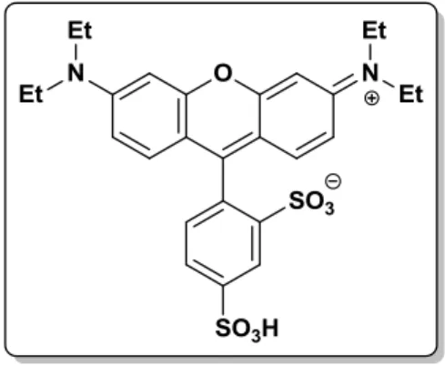Figura 4.1: Sulforodamina B 