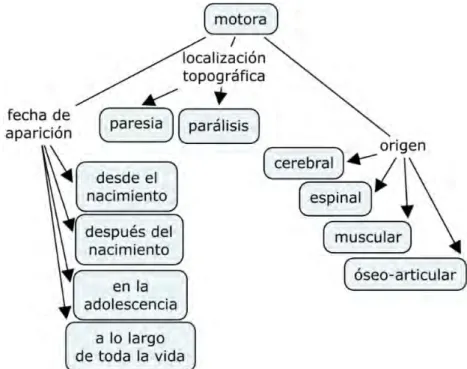 Fig. 5.  Clasificación de las discapacidades motoras. 