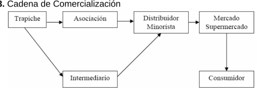 Figura 3. Cadena de Comercialización