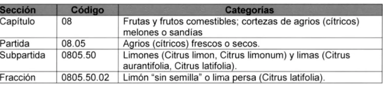 Tabla 6.  Fracción Arancelaria 