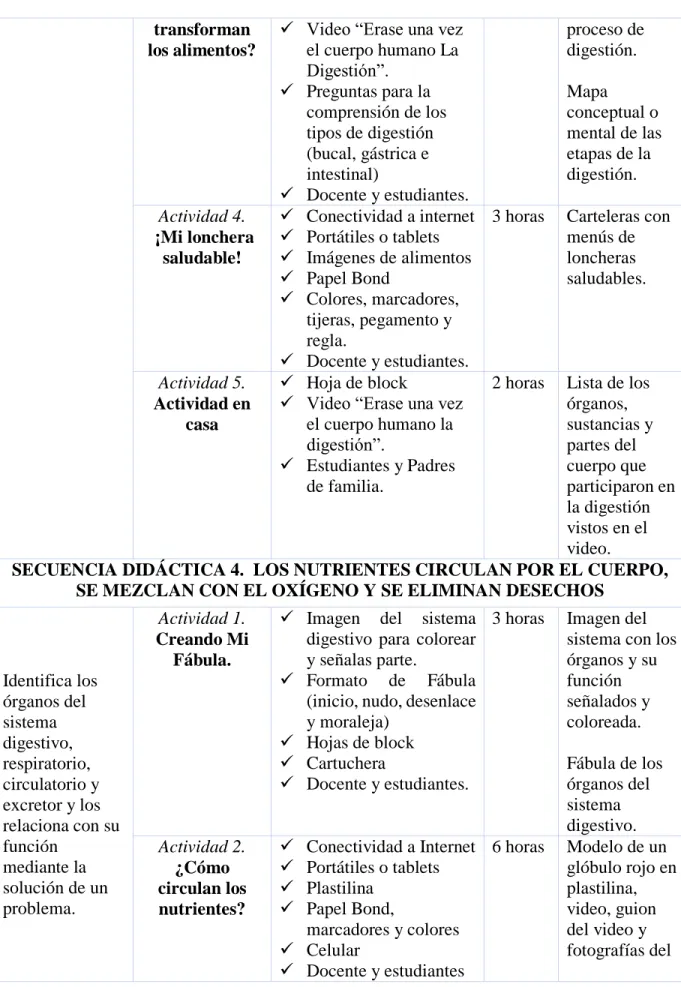 Mapa  conceptual o  mental de las  etapas de la  digestión. 