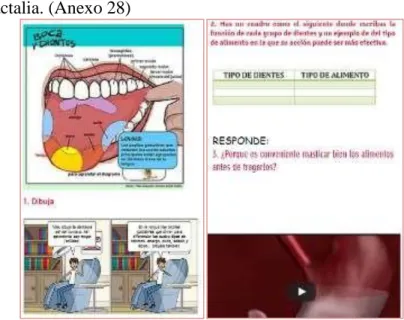 Figura 10 . Actividad de los alimentos a los nutrientes