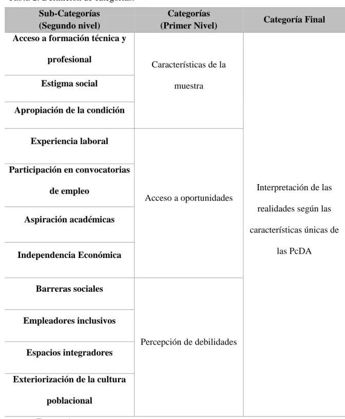 Tabla 2. Definición de categorías. 
