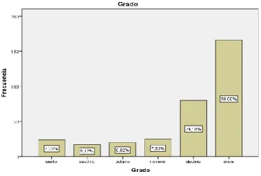 Gráfico 4   Grados 