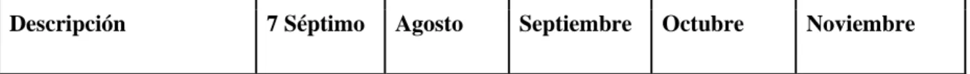Tabla 1. Cronograma. 