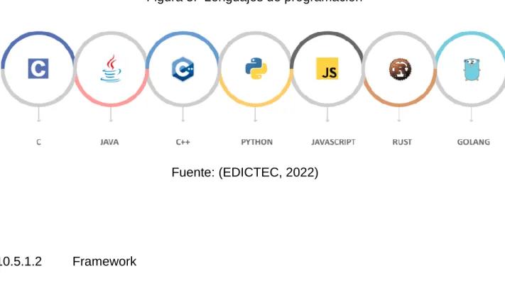 Figura 3.  Lenguajes de programación  