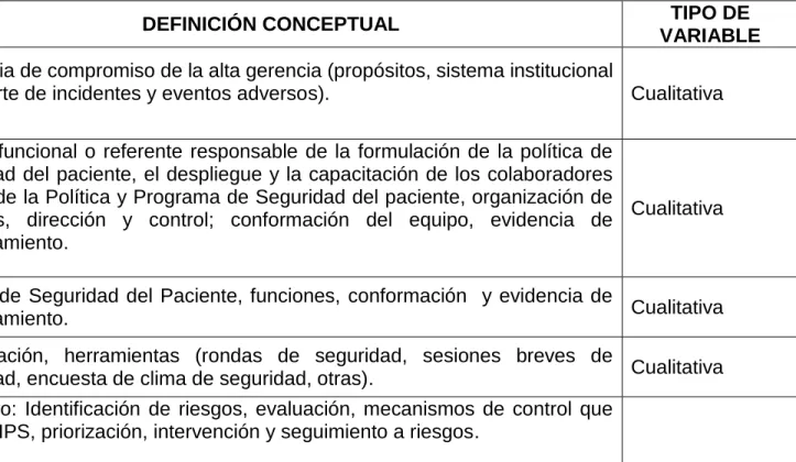 Tabla 5. Descripción de Variables del objeto de estudio