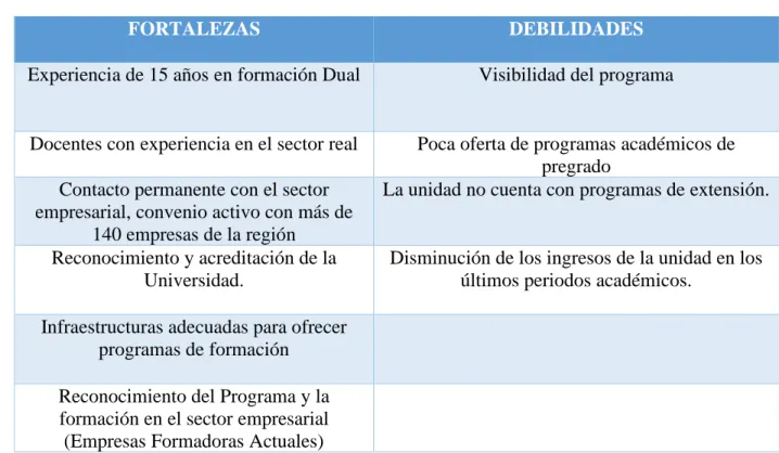 Tabla 3. Análisis Interno UNAB-DUAL 