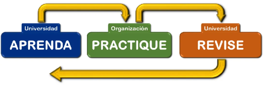 Figura 7. Ciclo de Aprendizaje 