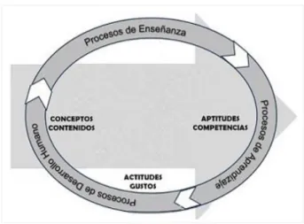 Figura 2. Elementos que contempla la evaluación. 