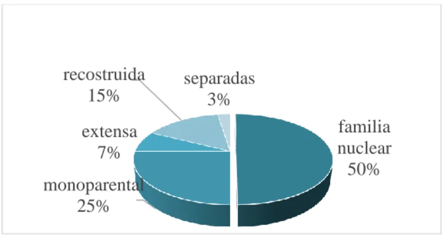 Figura 9. Estructura familiar