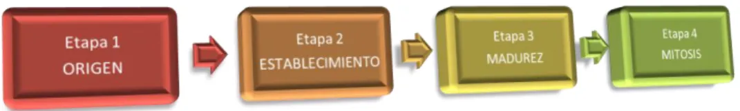 Figura 5. Etapas de madurez de una comunidad virtual