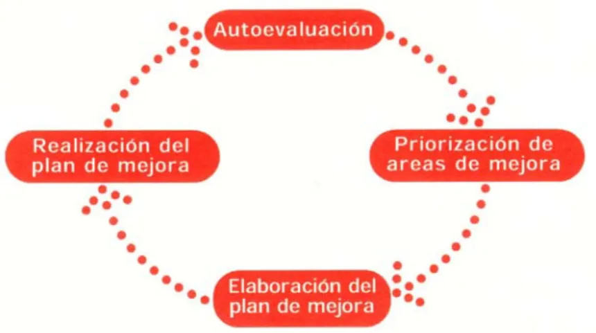 Figura 1. Fases del proceso de Autoevaluación