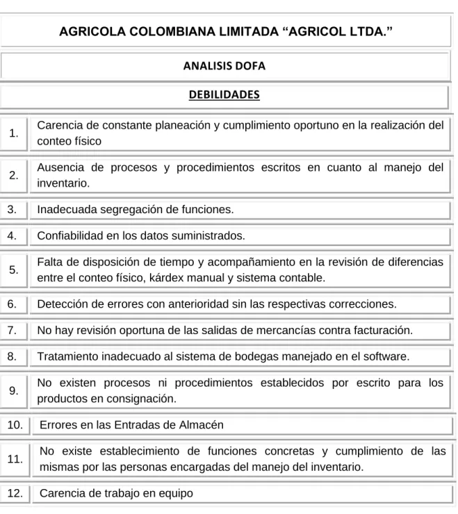 Cuadro 4. Análisis Dofa - Debilidades 