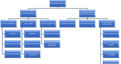 Figura 2. Diagrama de la conformación de la Propiedad Intelectual  132 . 