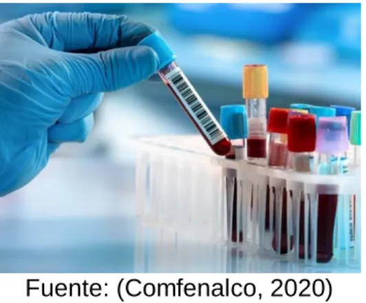 Figura 3: Muestras de laboratorio 